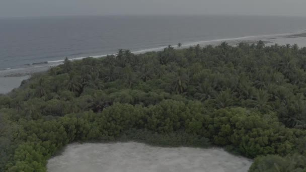 Eine Wunderschöne Vogelperspektive Auf Tropische Inseln Auf Den Malediven Luftaufnahmen — Stockvideo