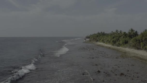 몰디브의 바라보는 아름다운 시각입니다 이국적 섬들의 색깔을 교정하지 — 비디오