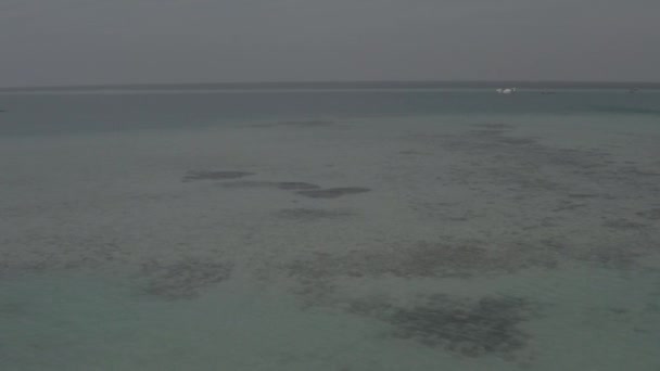 水上飞机站在水面上 乘坐水上飞机空运马尔代夫游客 无色彩校正的图像 — 图库视频影像