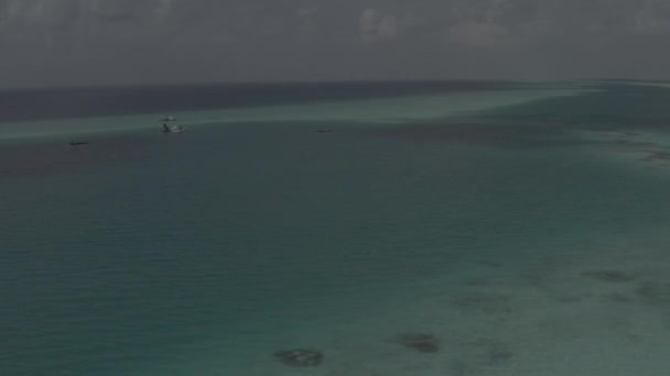 바다에 비행기가서 몰디비아 관광객들은 비행기를 색깔을 교정하지 — 비디오