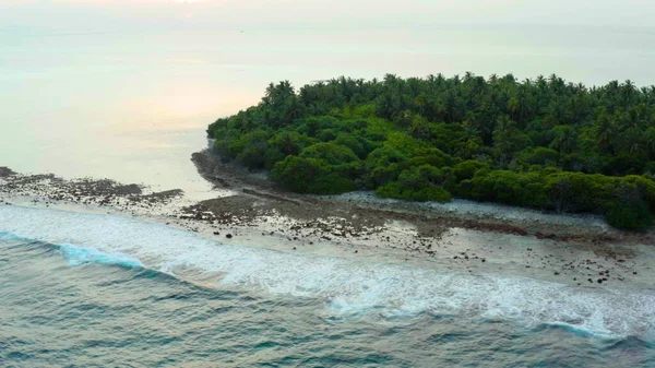 一架无人驾驶飞机在风景如画的沙滩上盘旋的空中视频 沙滩上布满了白沙 棕榈树和海浪 — 图库照片