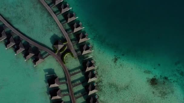 Mavi Göldeki Beyaz Kumlu Sahildeki Lüks Villaların Havadan Görünüşü Maldivler — Stok video