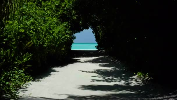 Gyönyörű Kilátás Nyílik Maldív Szigetekre Egy Drónról Légi Fotózás Egzotikus — Stock videók