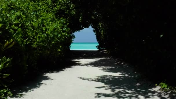 드론을 몰디브의 아름다운 경치를 수있습니다 몰디브의 이국적 휴양지 풍경을 사진으로 — 비디오