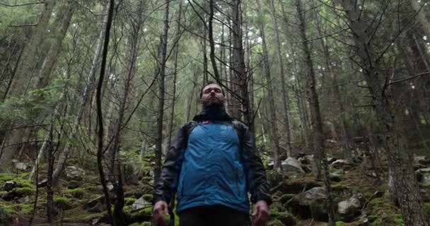 Retrato Homem Com Uma Mochila Chuva Floresta Levantando Mãos Para — Vídeo de Stock