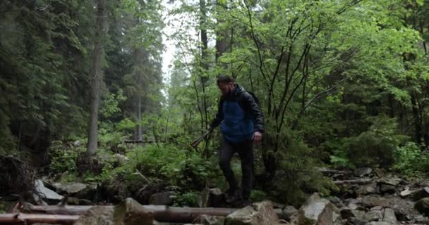 Ein Mann Wandert Durch Einen Gebirgsbach Wald Und Läuft Bei — Stockvideo