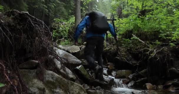 Jeden Muž Kráčí Horským Potokem Lese Kráčí Kamenech Lese Deštivého — Stock video
