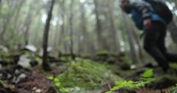 Een Jonge Man Een Bergwandeling Met Een Rugzak Tussen Bomen — Stockvideo