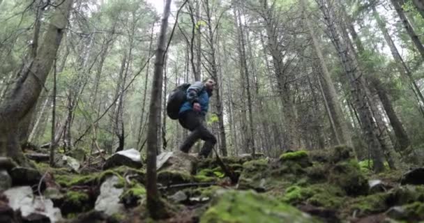 Ein Junger Mann Einer Bergwanderung Mit Einem Rucksack Zwischen Bäumen — Stockvideo