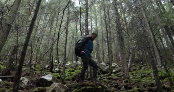 Jovem Uma Caminhada Montanha Com Uma Mochila Entre Árvores Uma — Vídeo de Stock