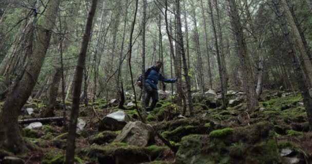 Een Jonge Man Een Bergwandeling Met Een Rugzak Tussen Bomen — Stockvideo