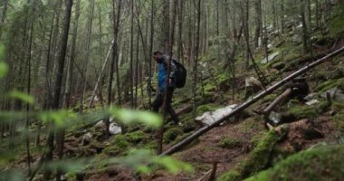 Dağda bir genç adam, sisli bir ormanda ağaçların arasında sırt çantasıyla yürüyüş yapıyor. Uzun havada tek bir yürüyüş..