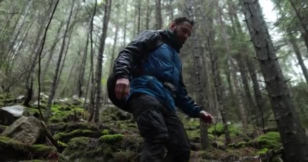 Młody Człowiek Górach Wędrujący Plecakiem Wśród Drzew Gęstym Mglistym Lesie — Wideo stockowe