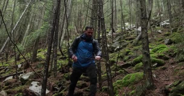 Młody Człowiek Górach Wędrujący Plecakiem Wśród Drzew Gęstym Mglistym Lesie — Wideo stockowe