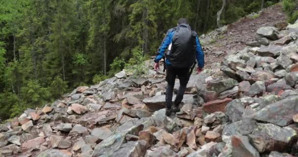 Ein Mann Ist Wanderer Bei Einer Wanderung Einem Bergwald Und — Stockvideo