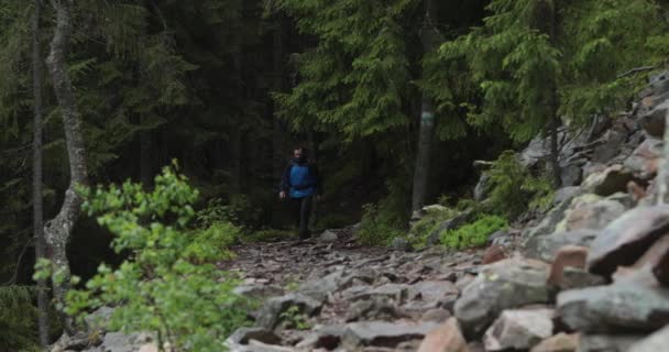 Молодой Человек Идет Одиночестве Скалистой Местности Выходя Леса Концепция Человека — стоковое видео