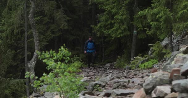 Młody Człowiek Idzie Samotnie Skalistym Terenie Wychodząc Lasu Koncepcja Człowieka — Wideo stockowe