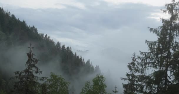 多雨多雾的山水景观经过的时间 — 图库视频影像