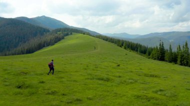 Sırtında sırt çantasıyla dağlarda bir adam güzel bir yaz gününde çimenli bir yamaç boyunca yürür. Dağ yürüyüşü kavramı. Dağlarda tek başına turist gezintisi.