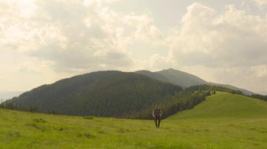 Sırtında sırt çantasıyla dağlarda bir adam güzel bir yaz gününde çimenli bir yamaç boyunca yürür. Dağ yürüyüşü kavramı. Dağlarda tek başına turist gezintisi.