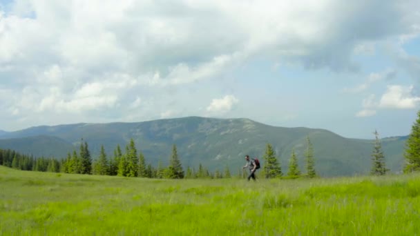 Muž Horách Batohem Zádech Kráčí Travnatém Svahu Krásného Letního Dne — Stock video