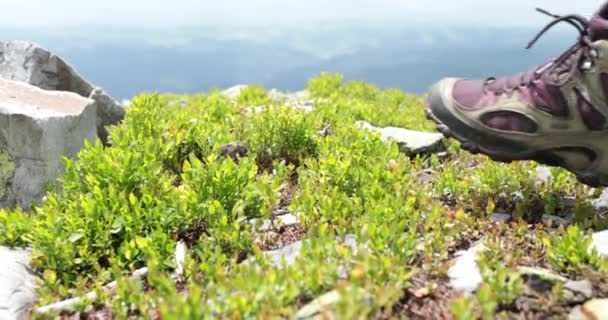 Bir Adam Sonbahar Yürüyüşü Sırasında Bir Dağa Tırmanıyor Botları Ayakkabıları — Stok video