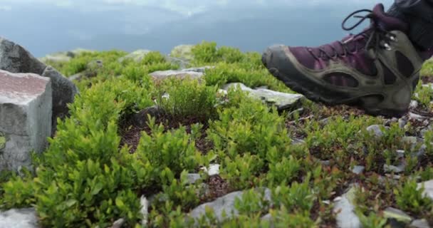 Bir Adam Sonbahar Yürüyüşü Sırasında Bir Dağa Tırmanıyor Botları Ayakkabıları — Stok video
