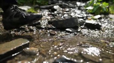 Nehir boyunca dağlara doğru yürüyen bir turistin bacaklarına yakın çekim. Etkin insan seyahat kavramı.