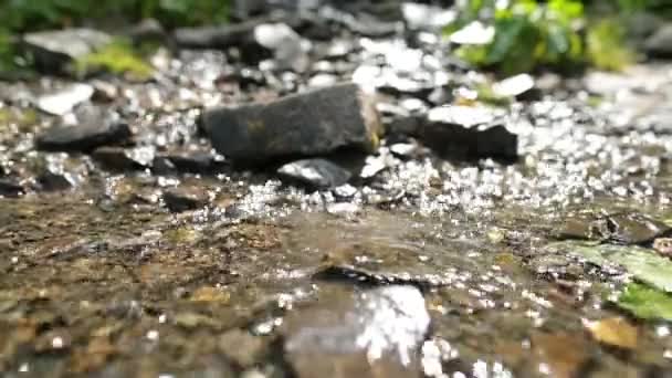 山に向かって川を歩く観光客の足のクローズアップ アクティブな人の旅行コンセプト — ストック動画