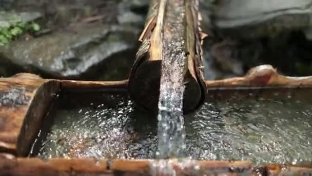 Sbírám Plastovou Vodu Odpadků Dobrovolník Uklízí Odpadky Řeky Sbírá Odpadky — Stock video