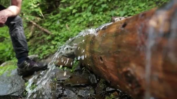 Picking Garbage Water Plastic Nature Volunteer Cleaning River Trash Pick — Stockvideo