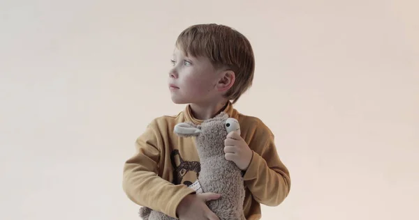 一个手里拿着柔软玩具的小男孩的画像 在演播室拍摄 — 图库照片
