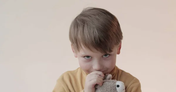 Retrato Menino Com Brinquedo Macio Nas Mãos Tiro Estúdio — Fotografia de Stock