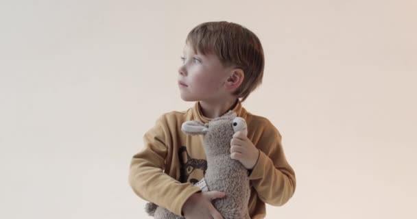 Portret Van Een Kleine Jongen Met Een Knuffel Zijn Handen — Stockvideo