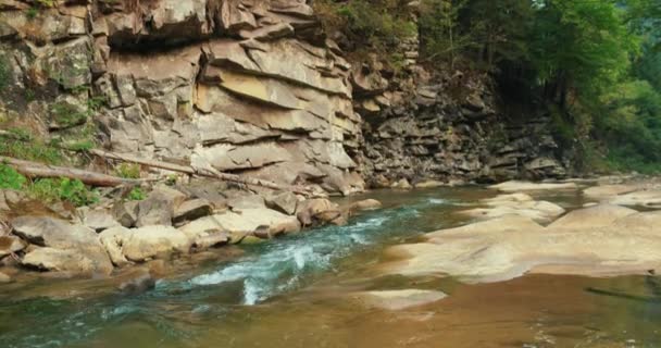 Вода Течет Красивом Горном Лесу Маленькая Горная Река Кристально Чистой — стоковое видео