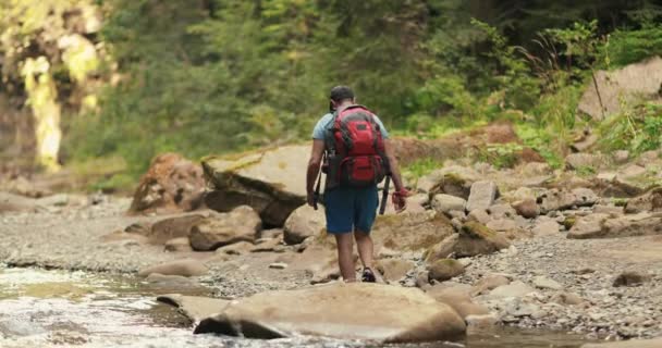 Homem Turista Ativo Caminha Longo Desfiladeiro Rochoso Com Rio Montanha — Vídeo de Stock