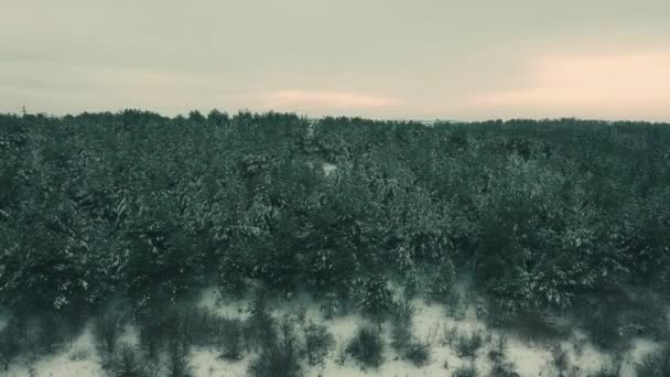 Güzel Bir Kış Dağ Manzarasının Görüntüsü Karanlık Kasvetli Havada Karlı — Stok video