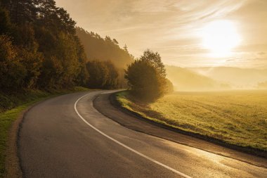 Sis dolu sonbahar manzarasının sabah ışığında yolun kıvrımları..