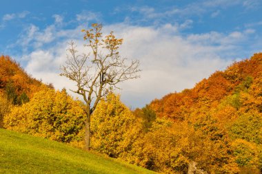 Sonbahar dağ manzarası. Beyaz Karpat Dağları, Slovakya, Avrupa 'daki Vrsatec Ulusal Doğa Rezervi.