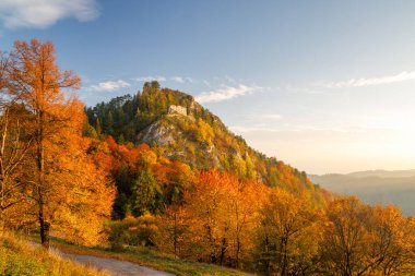 Günbatımında ortaçağ Vrsatec şatosunun harabesi ile sonbahar manzarası. Beyaz Karpat Dağları, Slovakya, Avrupa 'daki Vrsatec Ulusal Doğa Rezervi.