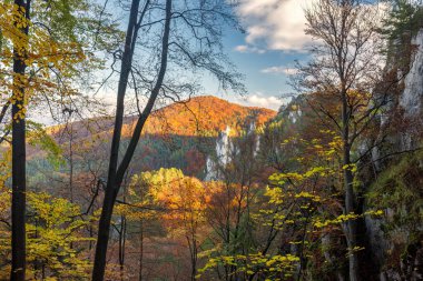 Parlak renkli ağaçlarla dolu dağ sonbahar manzarası. Sulov Kayalıkları, Slovakya, Avrupa 'nın kuzeybatısında ulusal doğa rezervi..