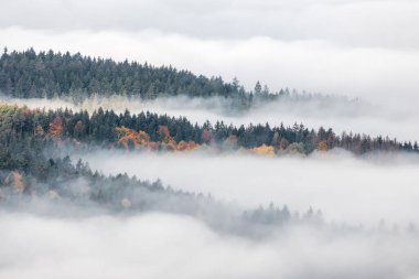 Sonbahar sabahında sisli orman vadisi. Sulov Kayalıkları, Slovakya, Avrupa 'nın kuzeybatısında ulusal doğa rezervi..