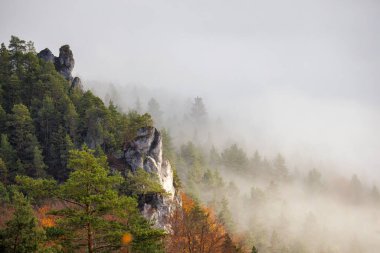 Sonbahar sabahında sisli orman vadisi. Sulov Kayalıkları, Slovakya, Avrupa 'nın kuzeybatısında ulusal doğa rezervi..
