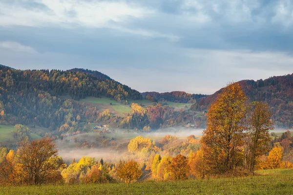 秋天的雾蒙蒙的早晨 山野的风景 欧洲斯洛伐克西北部的Mala Fatra国家公园 — 图库照片