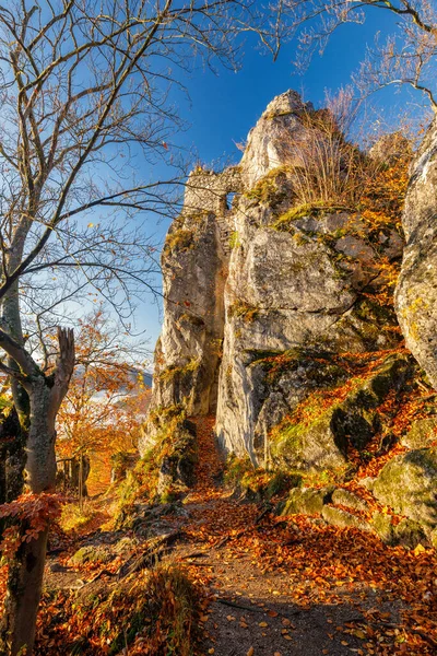 Sulov Şatosu Sonbahar Sabahında Harabeye Döner Sulov Kayalıkları Slovakya Avrupa — Stok fotoğraf