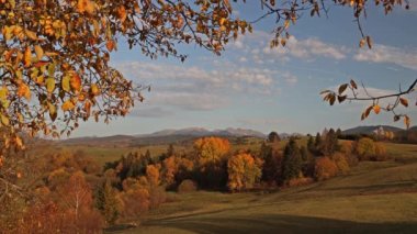 Arka planda renkli ağaçlar ve tepeler olan sonbahar manzarası. Kuzey Slovakya 'da Orava bölgesi, Avrupa.