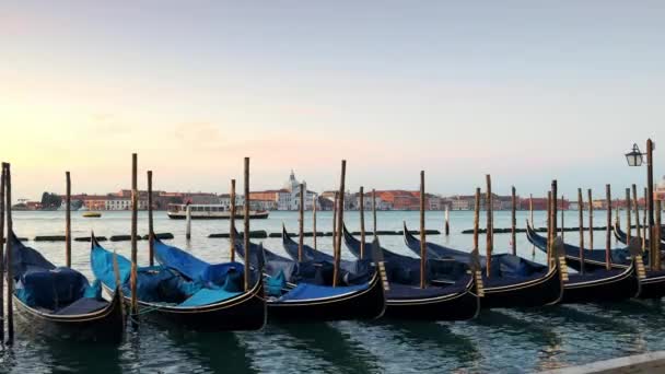 Venecia Con Góndolas Orilla Cuenca San Marco Una Hermosa Mañana — Vídeos de Stock