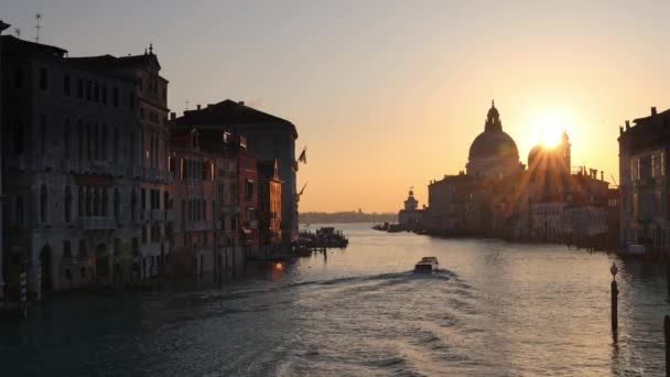 Grande Canal Veneza Com Silhueta Basílica Santa Maria Della Salute — Vídeo de Stock