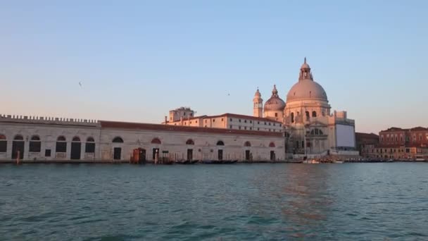 Большой Канал Венеции Санта Мария Делла Салют Восходе Солнца Италия — стоковое видео