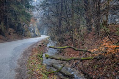 Kayalık boğazdan geçen bir yol. Slovakya 'nın kuzeybatısındaki Maninska Vadisi, Avrupa.